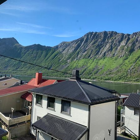 Gryllefjord House 아파트 외부 사진